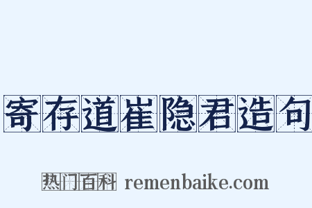 寄存道崔隐君造句是什么意思的图片
